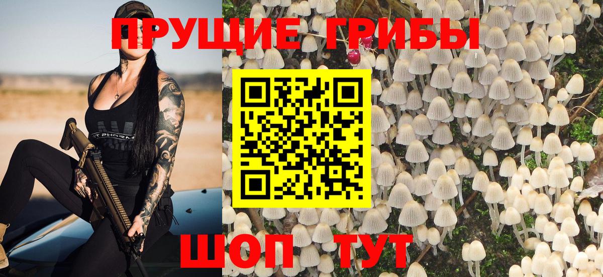 Назарово  Галлюциногенные грибы мицелий  Вход с VPN  Псилоцибиновые грибы мицелий 